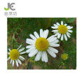 factory supply natural chamomile extract Chamomile flower extract powder 10:1